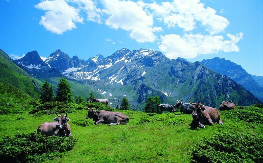 Schoenes Studio Im Ruhigen Kaunertal Apartment Bagian luar foto